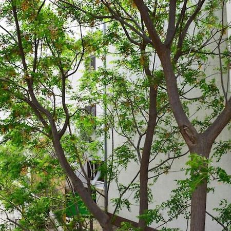 Apartments Marasovic - Roko 스플리트 외부 사진